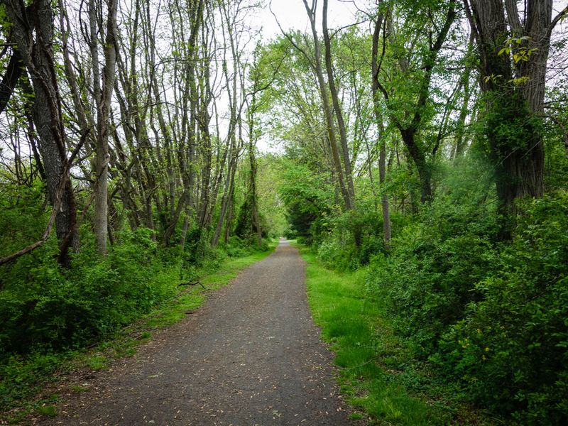 The Delaware and Raritan Canal Towpath Trail