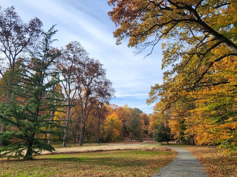 The Pinetum, Where Evergreens Rule the Scene