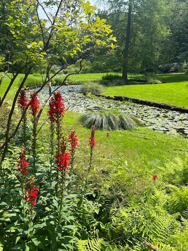 Planning Your Visit: Hours, Donations, and What to Bring