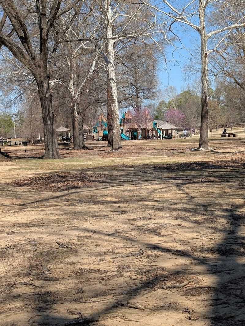 The Playground That Kids Refuse to Leave