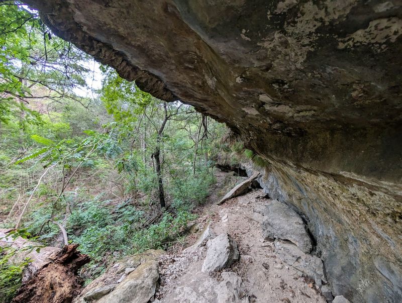 Hiking Trails That Wind Through Real Hill Country Terrain