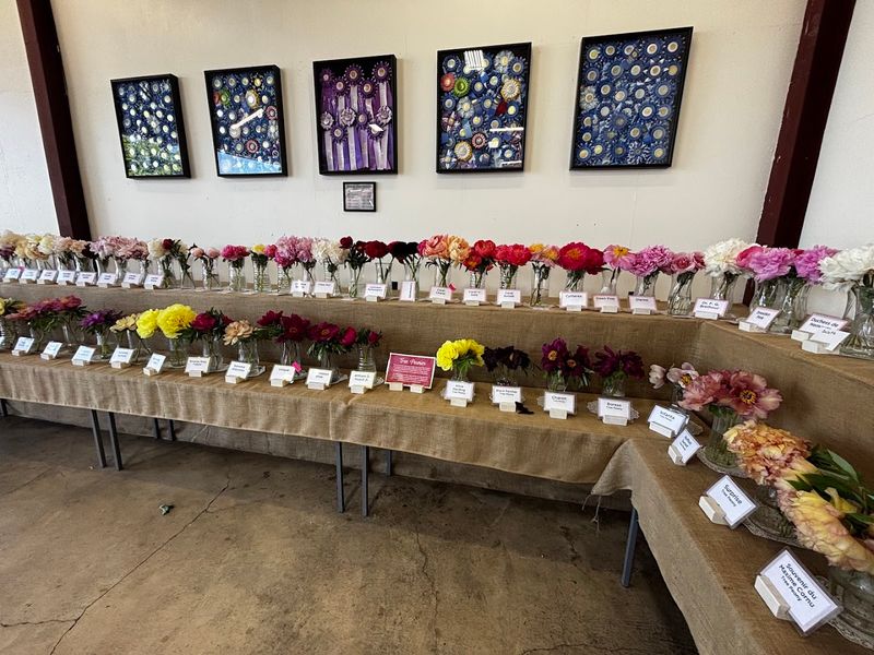 The Famous Barn Stem Display