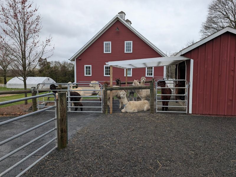 The Farm Store and Alpaca Fiber Products
