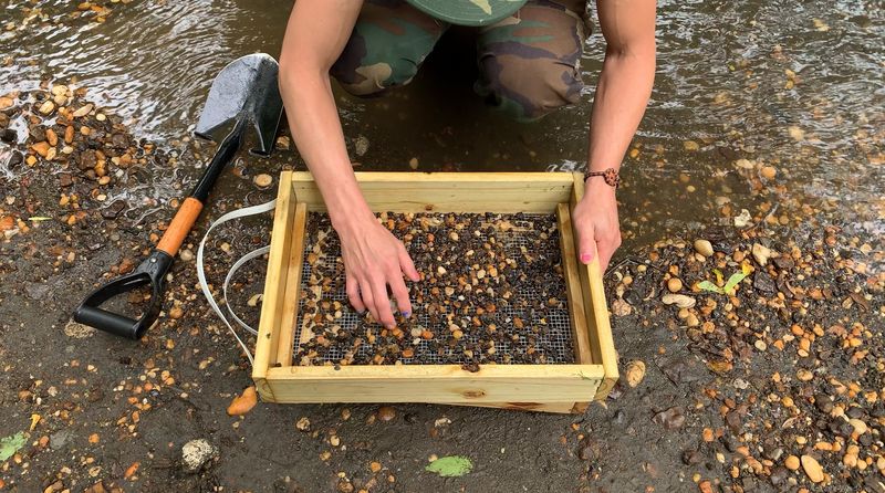 Planning Your Visit: Practical Tips for a Great Day at Big Brook Park