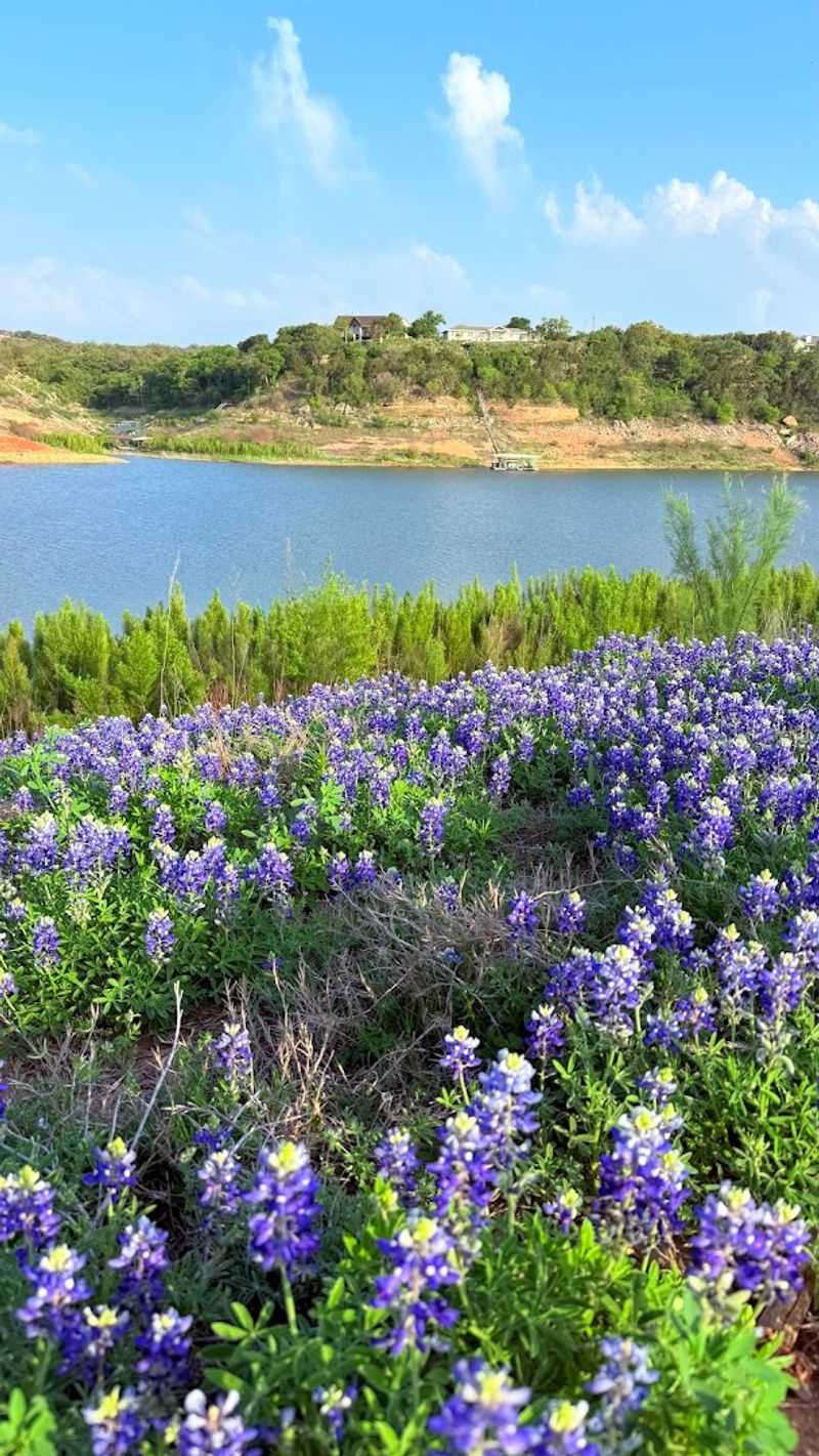 Planning Your Visit to Get the Most Out of the Trip