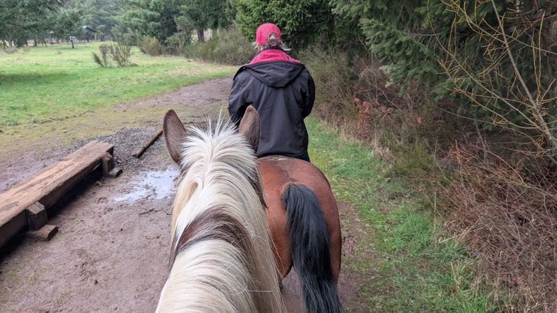 Horse Trails for Riders and Their Companions