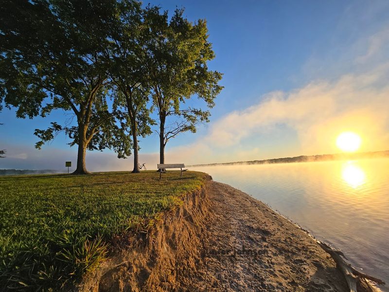 Best Times to Visit and What to Expect