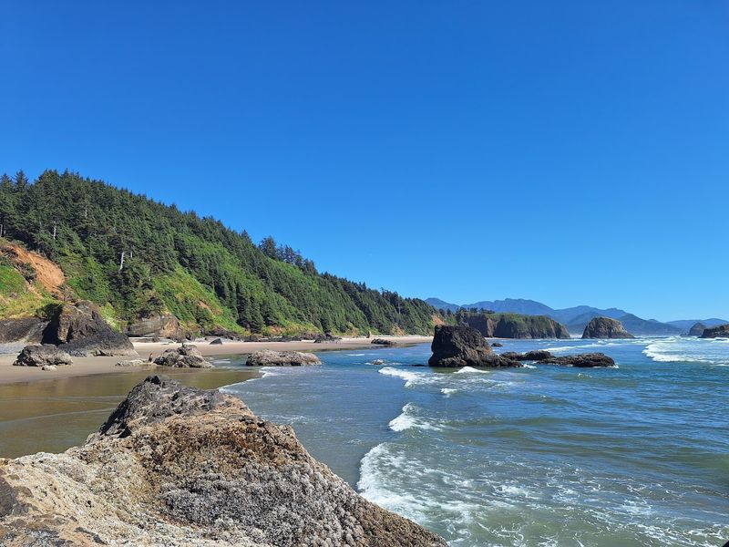 Wildlife and Nature Along the Trail