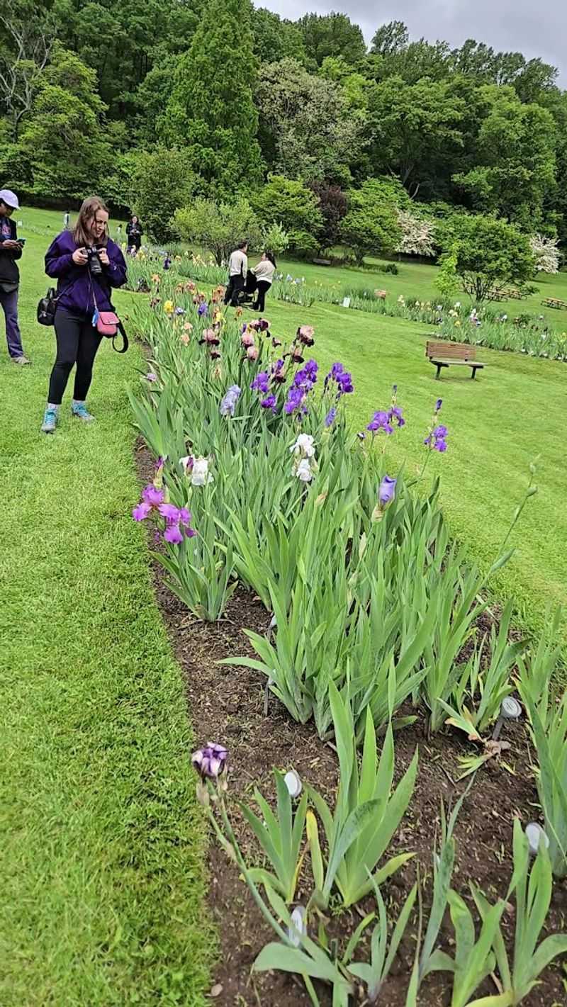 How the Garden Is Maintained and Who Keeps It Alive