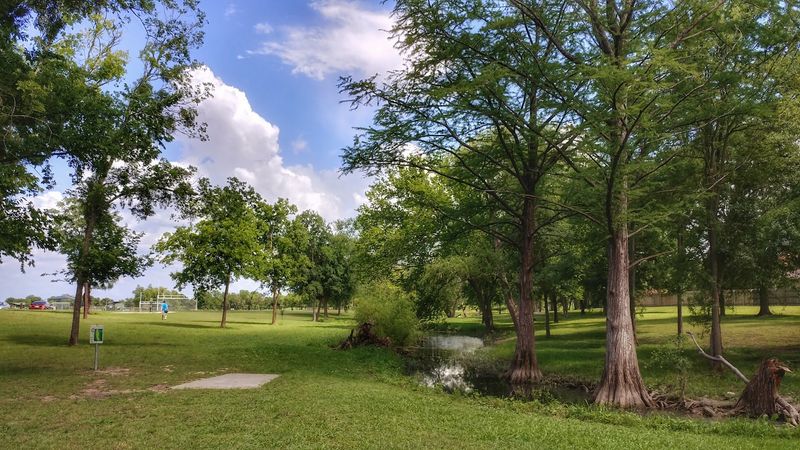Steeplechase Park: Green Space Worth Exploring