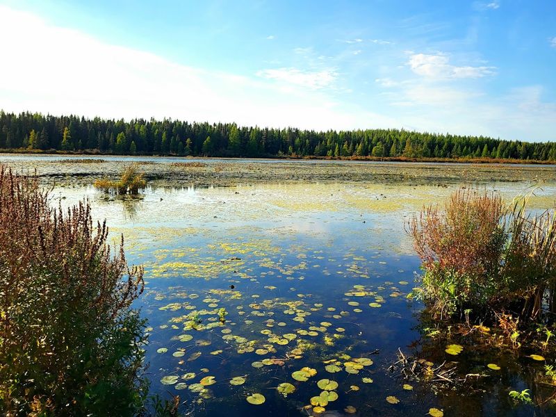 Lake Views That Catch You Off Guard