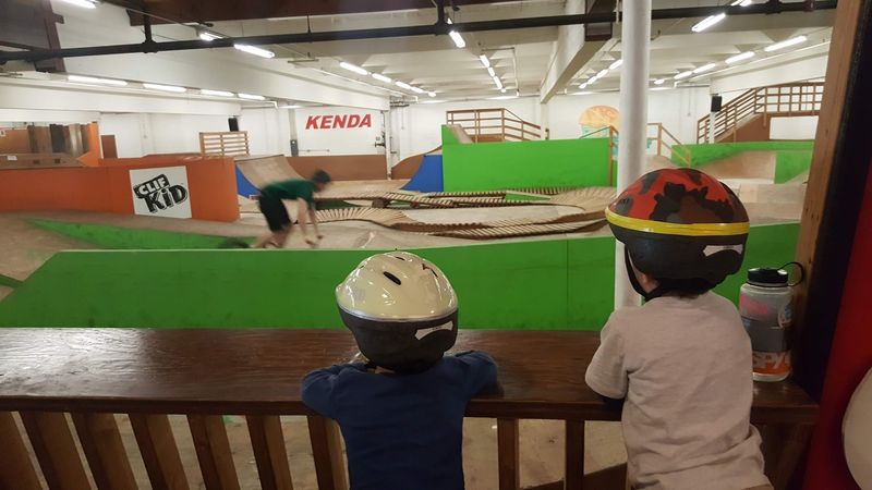 Family-Friendly Atmosphere