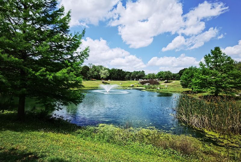 Why Cedar Park Should Be on Every Texas Foodie's Map