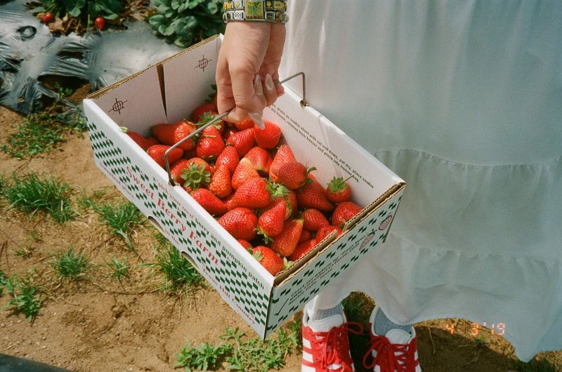 Why Sweet Berry Farm Keeps Calling People Back Year After Year