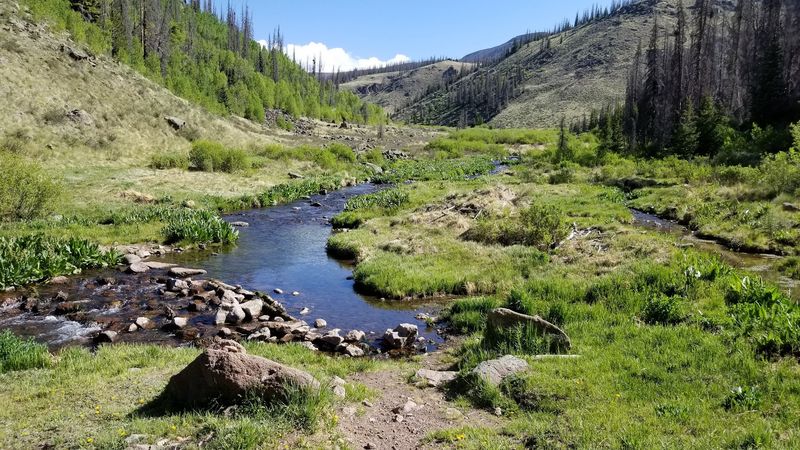 The Wildlife and Landscape Surrounding the Formations