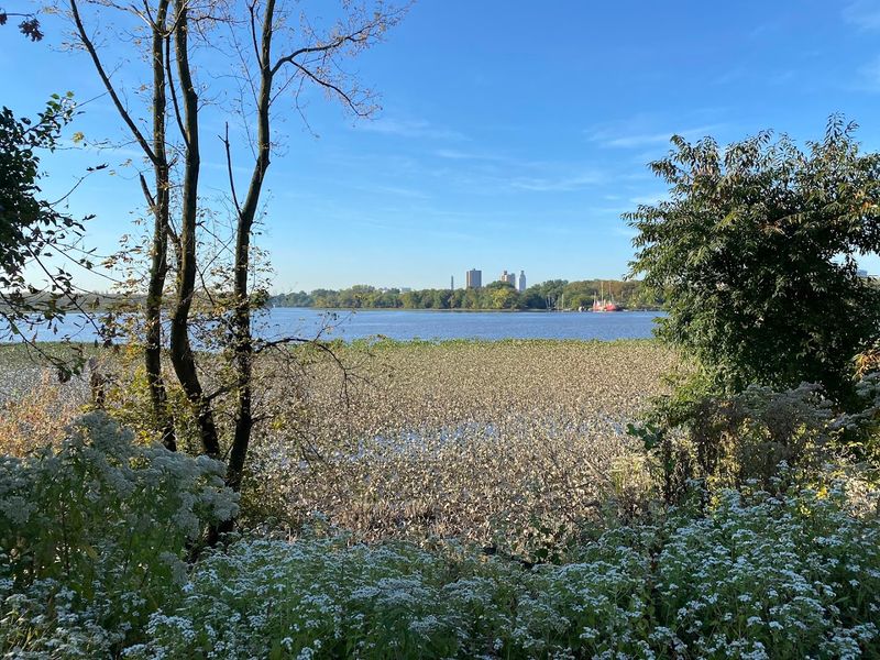 How to Visit Petty's Island and Make the Most of It