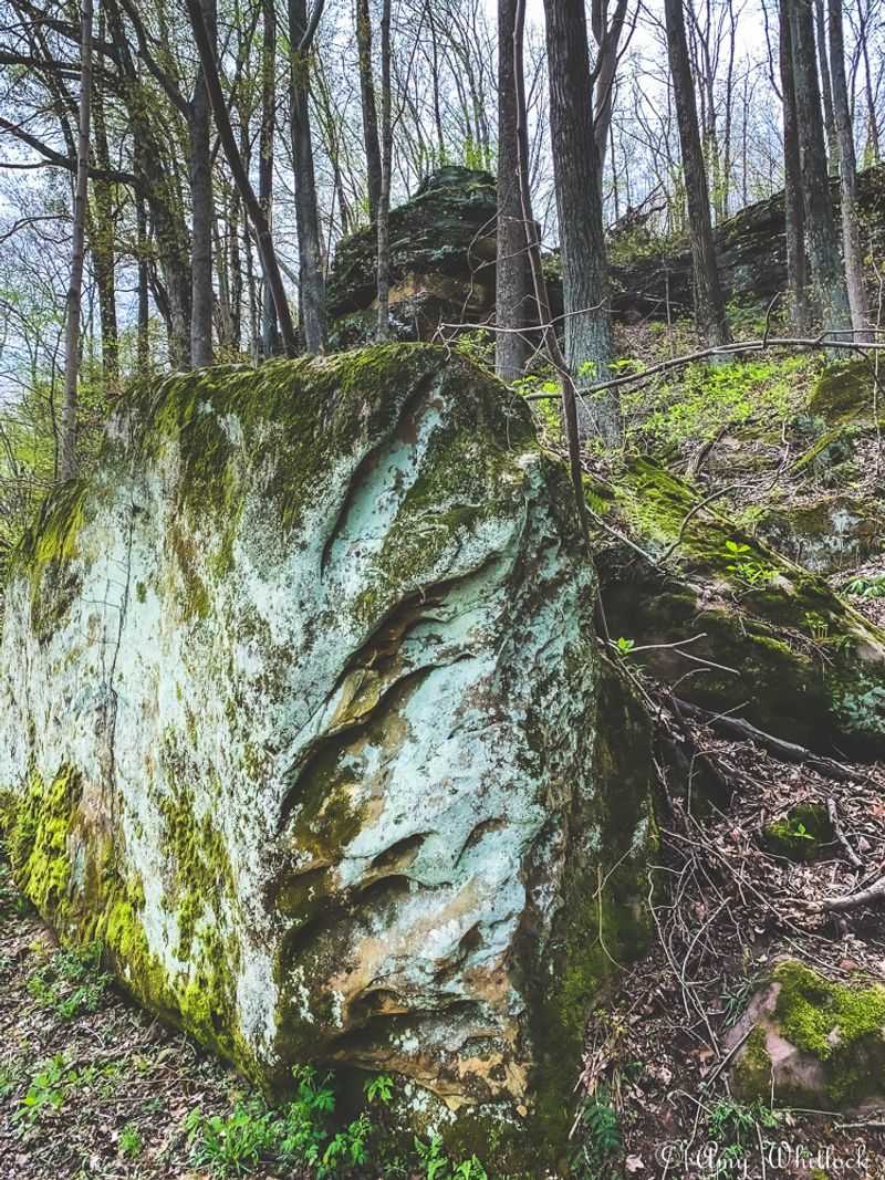 Guided Hikes and Educational Programs That Bring the Preserve to Life