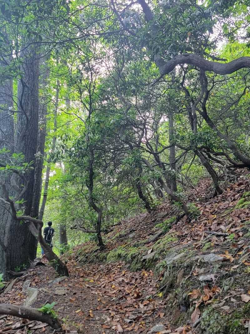 The Loop Trail That Will Absolutely Test Your Legs
