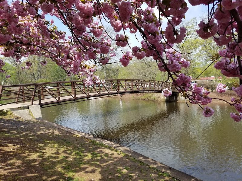 Wildlife, Seasonal Beauty, and Year-Round Reasons to Return