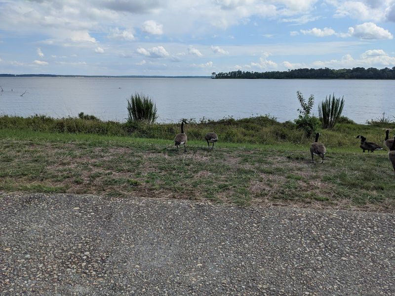 The James River Views That Made This Location Strategic