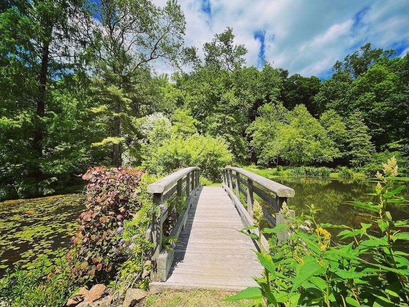 Streams and Bridges That Feel Like a Storybook Scene