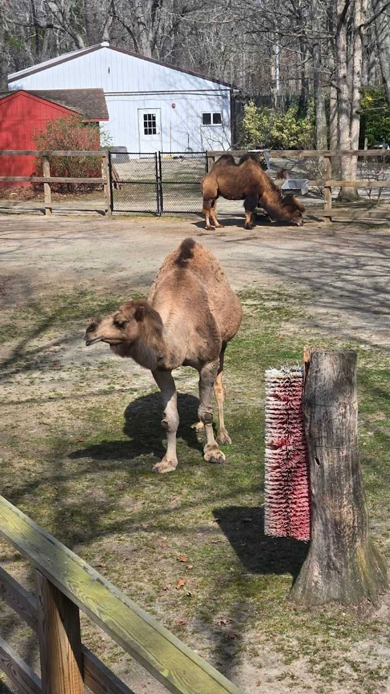 Cape May County Park & Zoo (Cape May Court House)