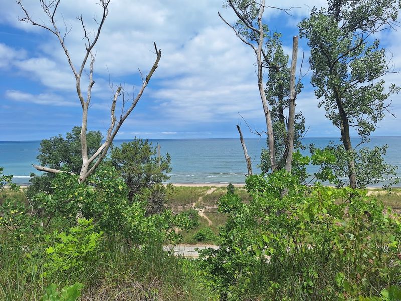 Dune Ridge Trailhead at Indiana Dunes National Park