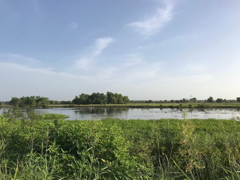 Why Red Slough Stays With You Long After You Leave