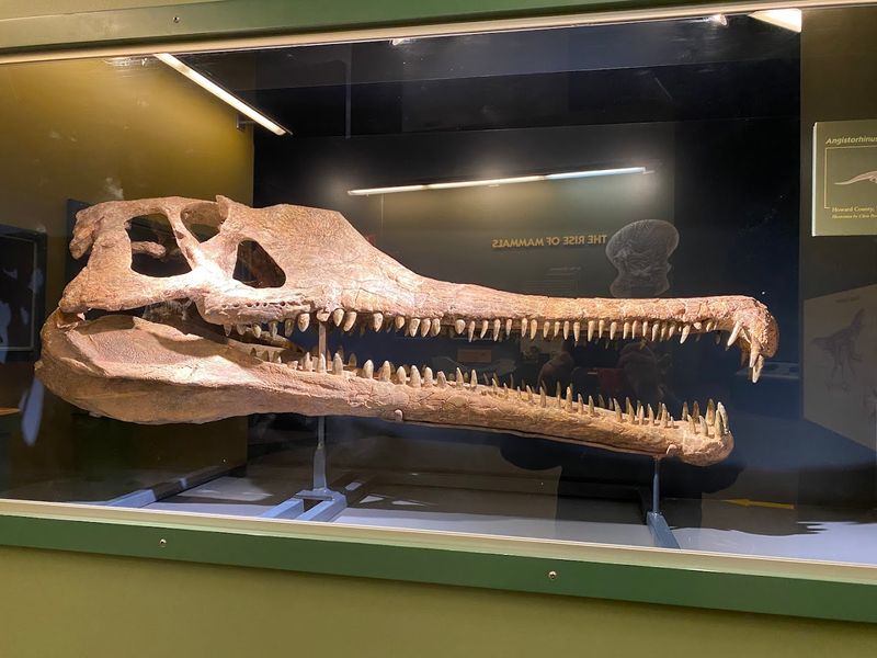 Why This Museum Earns Its Place on Any Oklahoma Itinerary