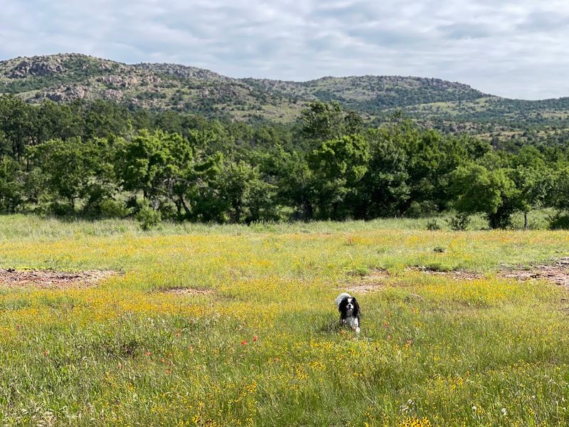 Hiking Trails Wind Through the Heart of the Refuge