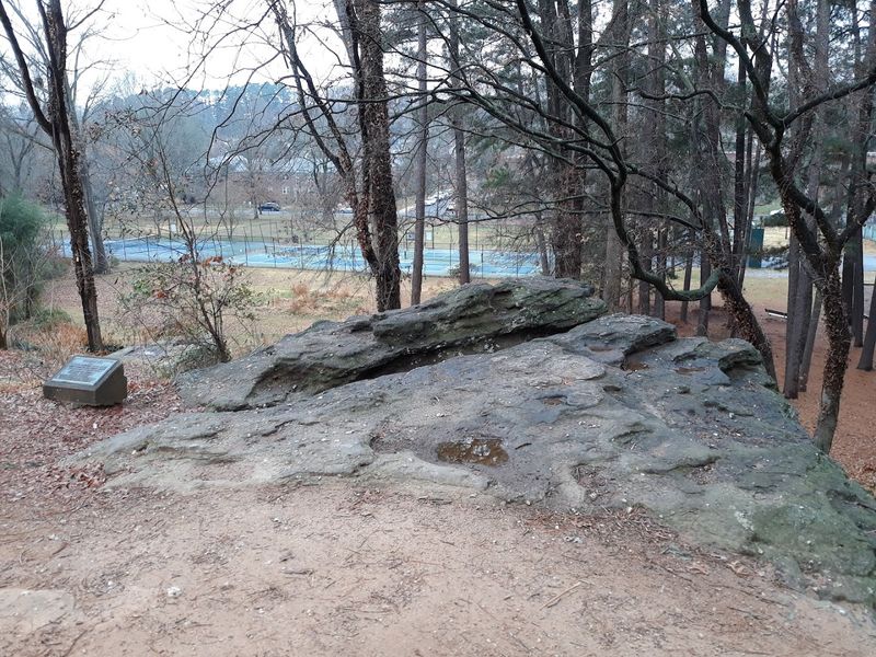 A Loyalist or a Patriot? The Delicious Historical Mystery