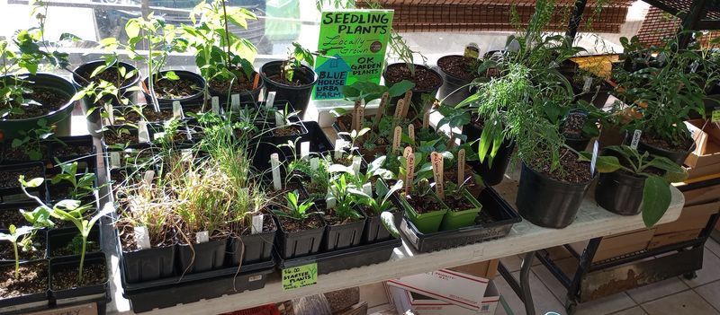 Plants, Seeds, and Garden Supplies for Home Growers