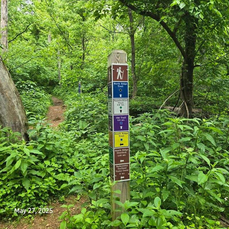 Wildlife Watching at Every Turn