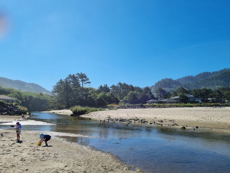 The Creek: Where Kids Forget About Everything Else