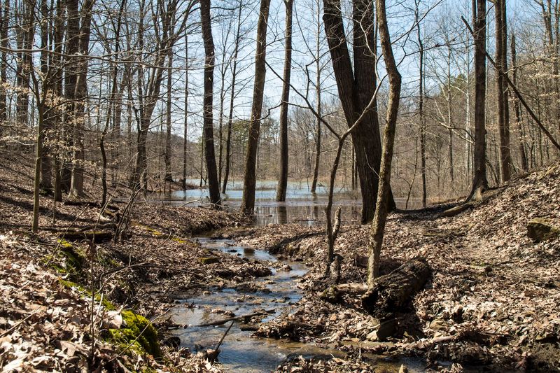 Scenic Natural Beauty That Changes With Every Season