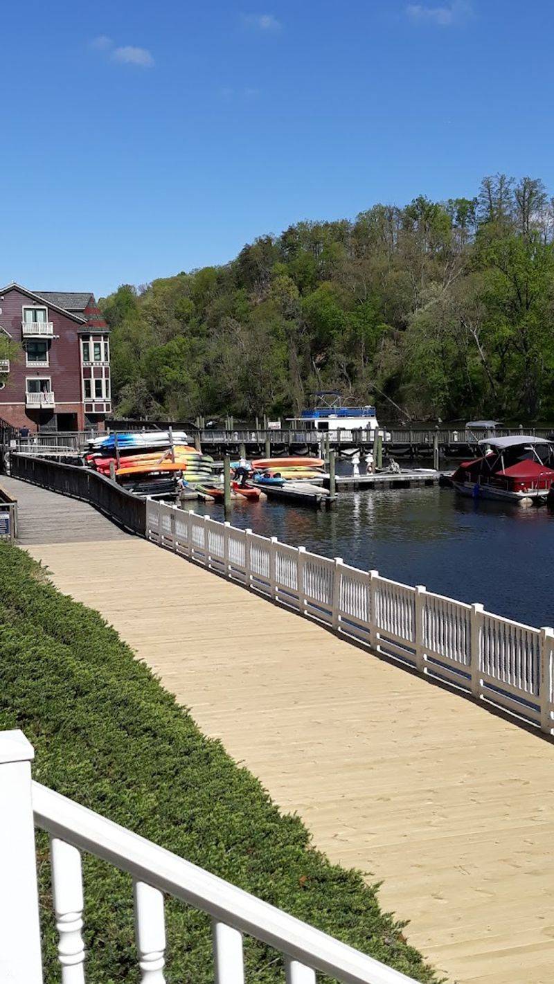 The Fall Arts and crafts Show: The event of the Season