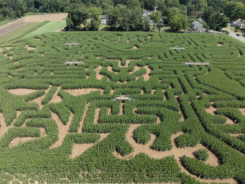 The 10-Acre Corn Maze: The Most Challenging Fun You Will Have All Fall