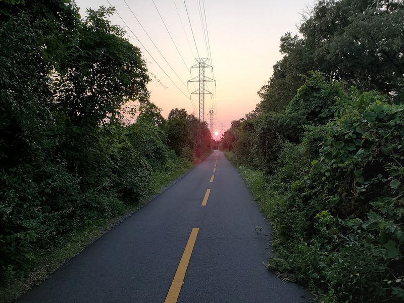 Running the Trail: A Jogger's Absolute Dream