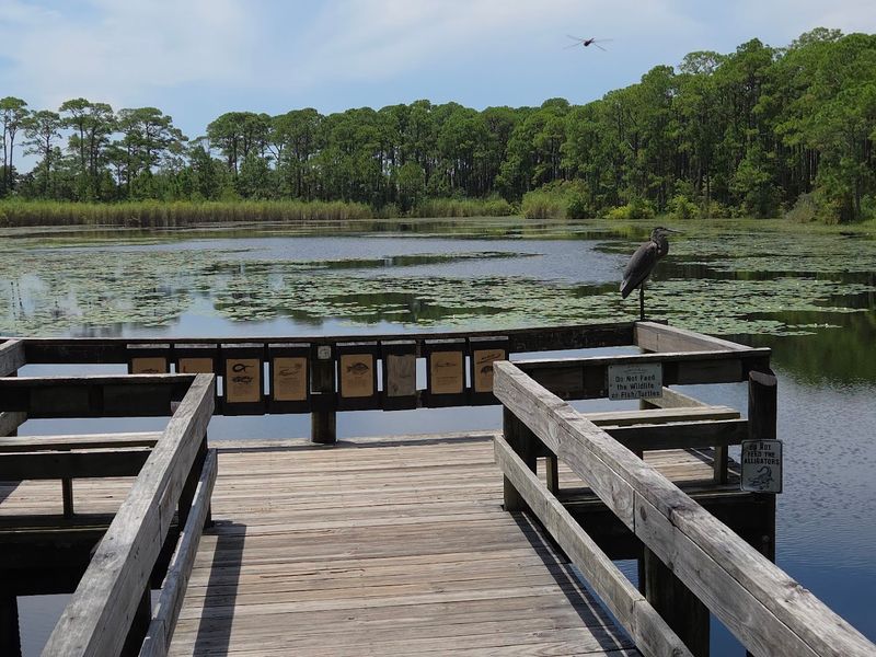 The Bird Sanctuary Side Of The Island