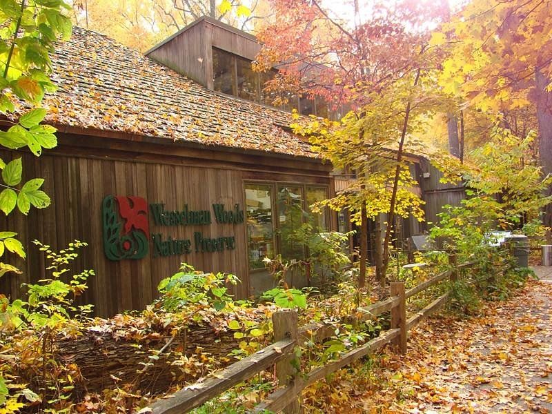 The Nature Center And What It Teaches You