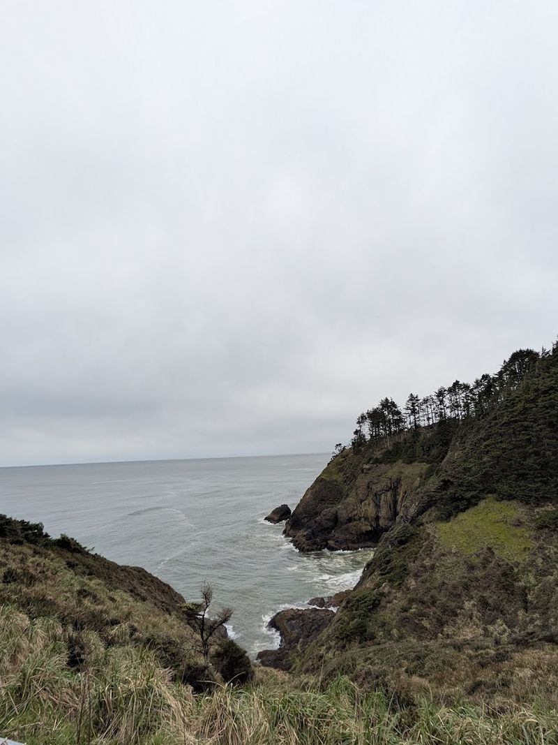 Sacagawea's Role in the Expedition