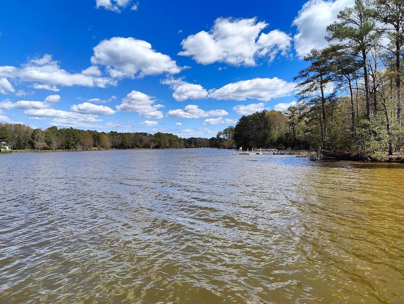 Kayaking Through Tidal Creeks Like a Local Explorer