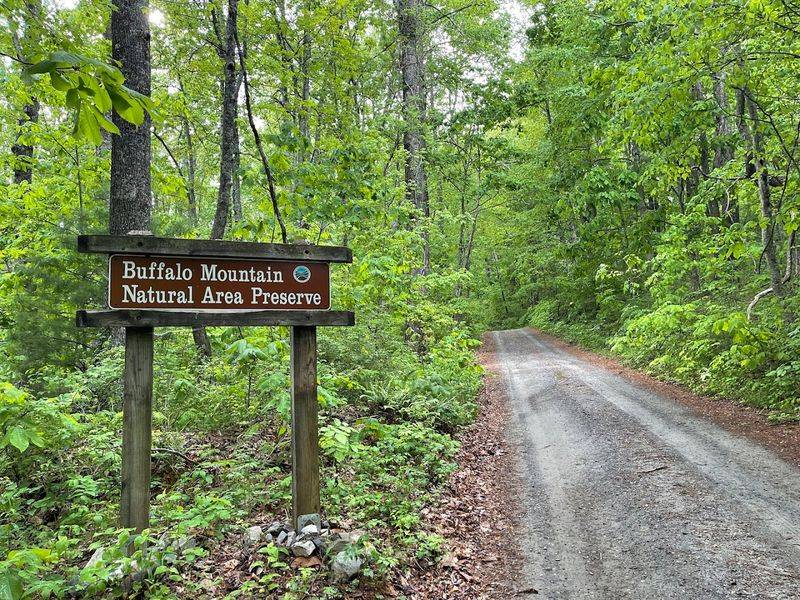 The Only Known Home of a Very Obscure Insect