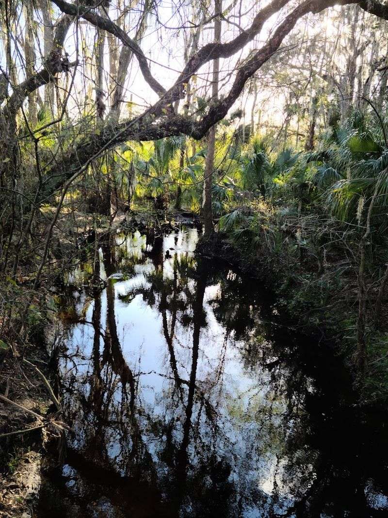 The Solitude Here Is Almost Impossible to Find Elsewhere