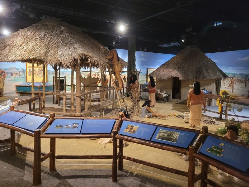 Hands-On Learning Through Archaeological Field Schools