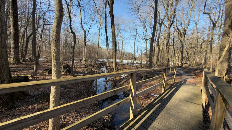 Nearly 400 Acres of Wild, Wooded Exploration