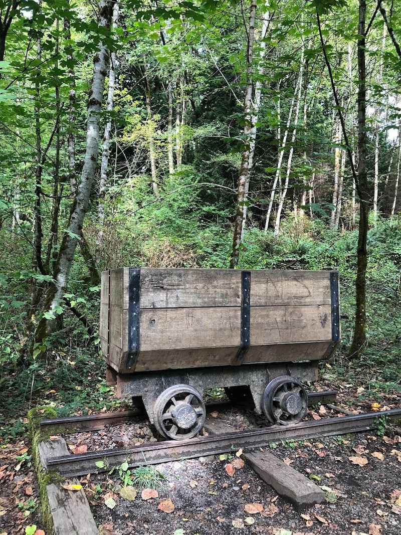 Cougar Mountain Park and the Layers Beneath the Trees