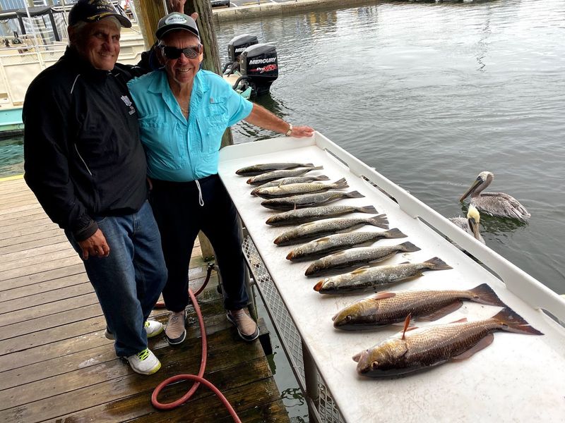 Speckled Trout: The Reliable Stars Of The Grass Flats