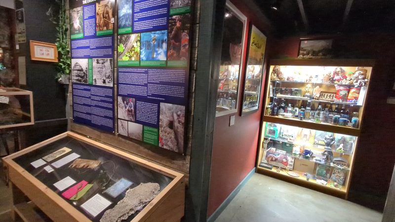 The Ape Canyon Exhibit and Olympic Project Nest Replica