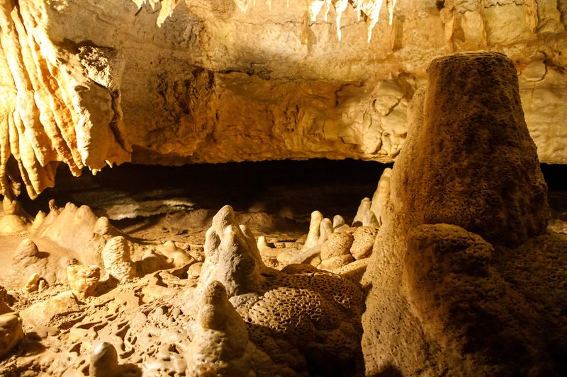 Knowledgeable and Entertaining Tour Guides